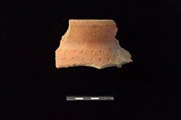 藏品(陶罐)的圖片